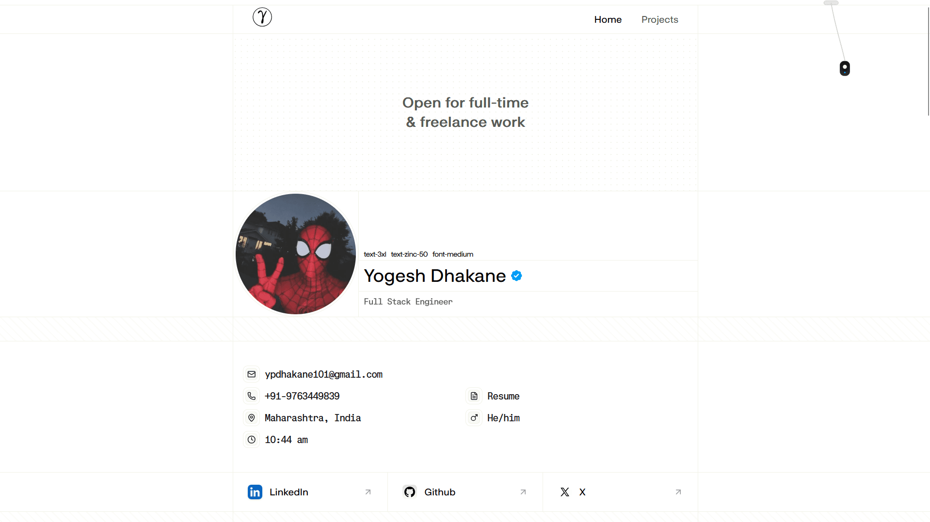Developer portfolio website showcasing projects skills and responsive UI design